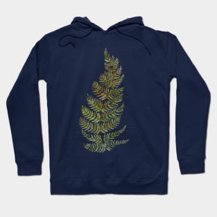 Watercolor fern Hoodie